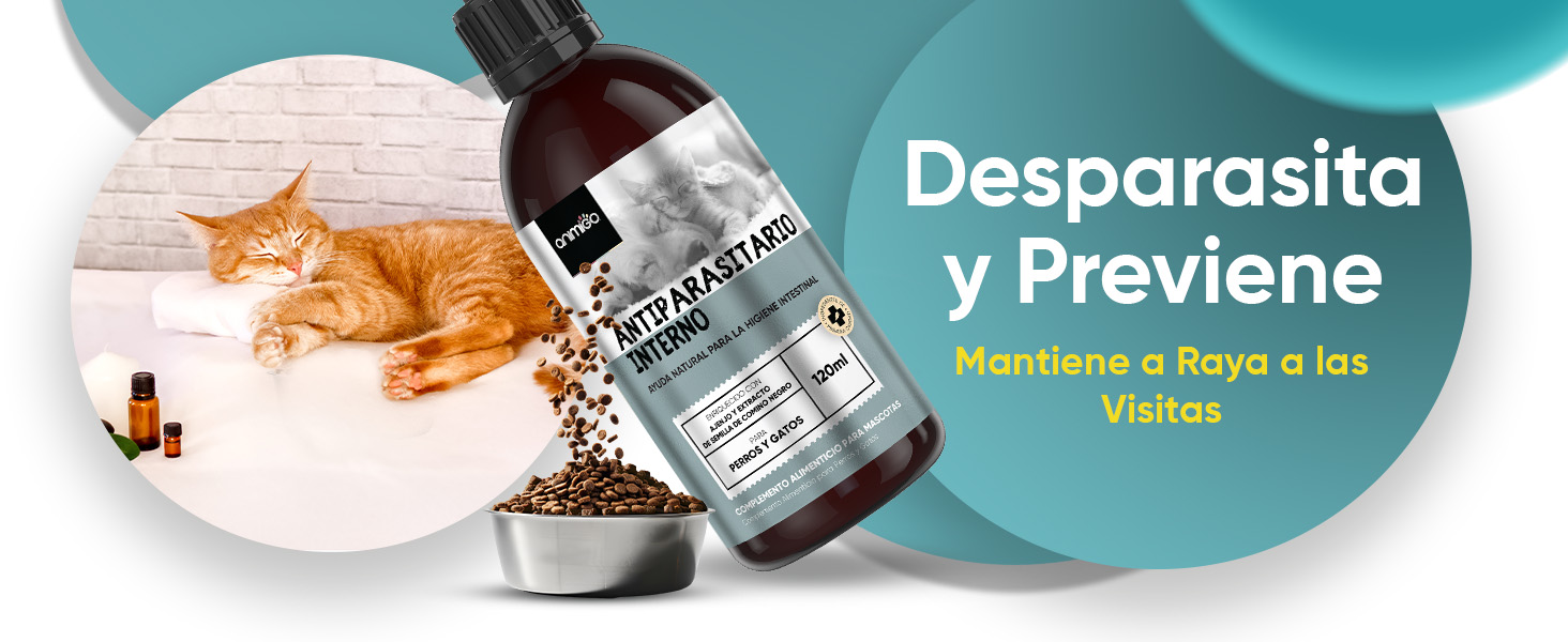 Antiparasitario interno para mantener a raya a las visitas