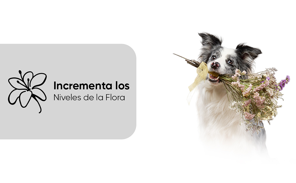 Protector intestinal para perros