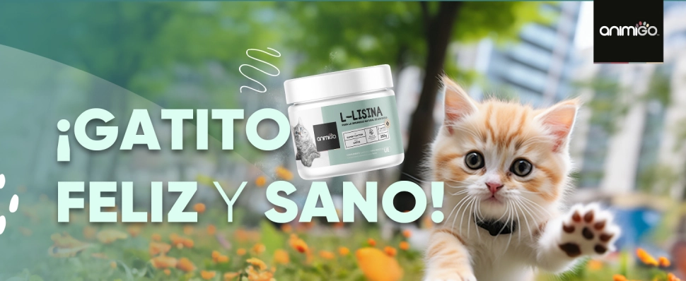 L-Lisina para gatos