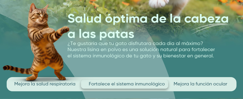L-Lisina para salud de gatos