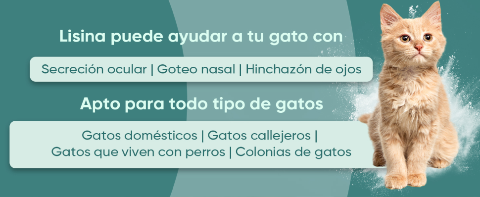 L-Lisina suplemento para gatos
