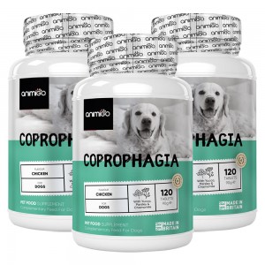 Coprofagia para Perros