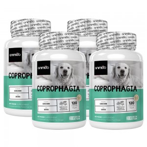Coprofagia para Perros