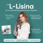 L-Lisina aminoácido esencial