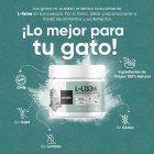 L-Lisina en polvo sin gluten