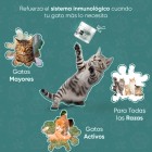 L-Lisina para gatos de cualquier raza