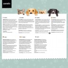 Recomendaciones de uso L-Lisina para gatos