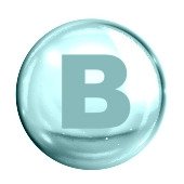 Vitamina B Para Perros Vitamina B Para Perros